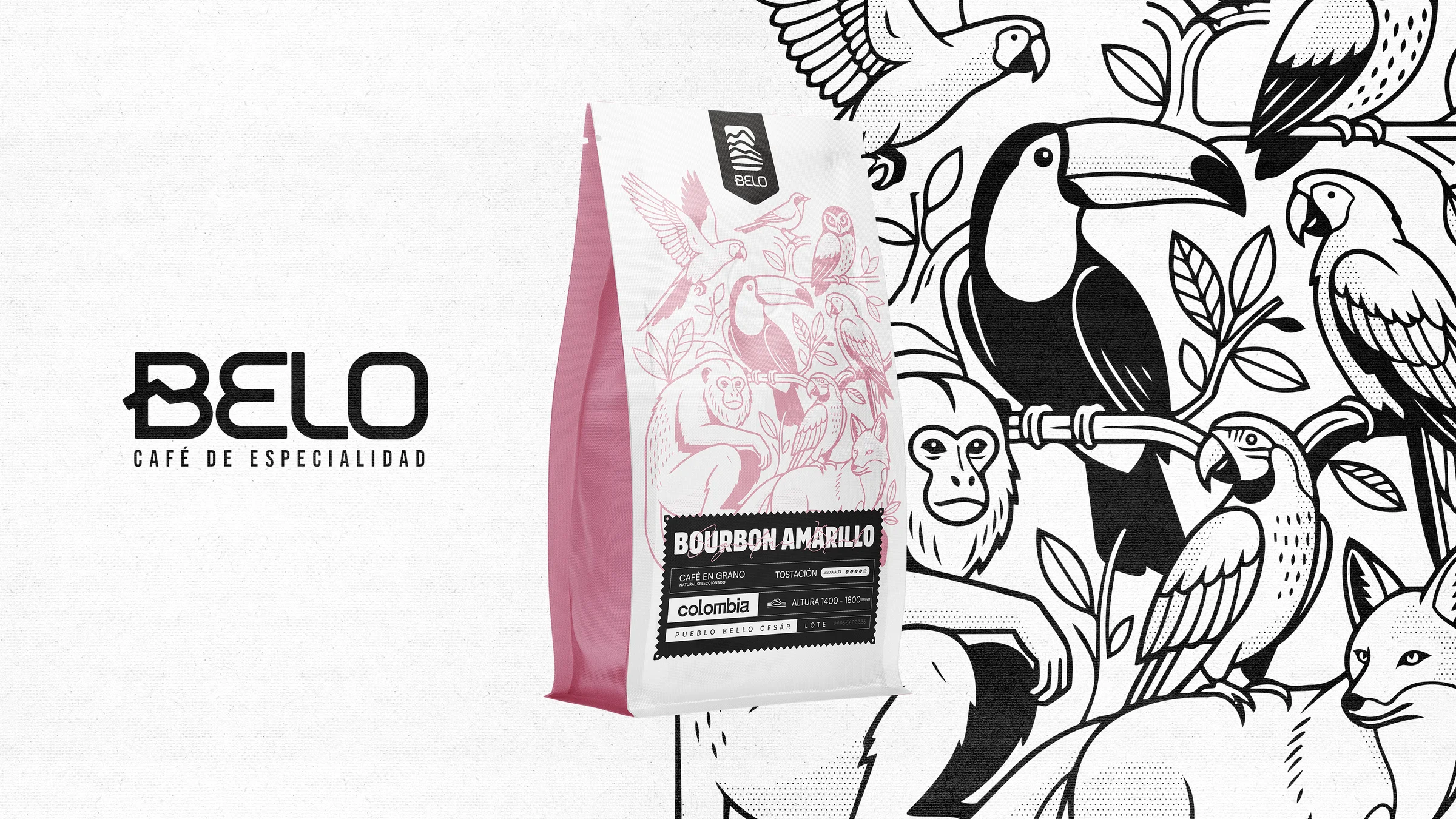 Belo Specialty Coffee logo, coffee bag and black-and-white jungle illustration