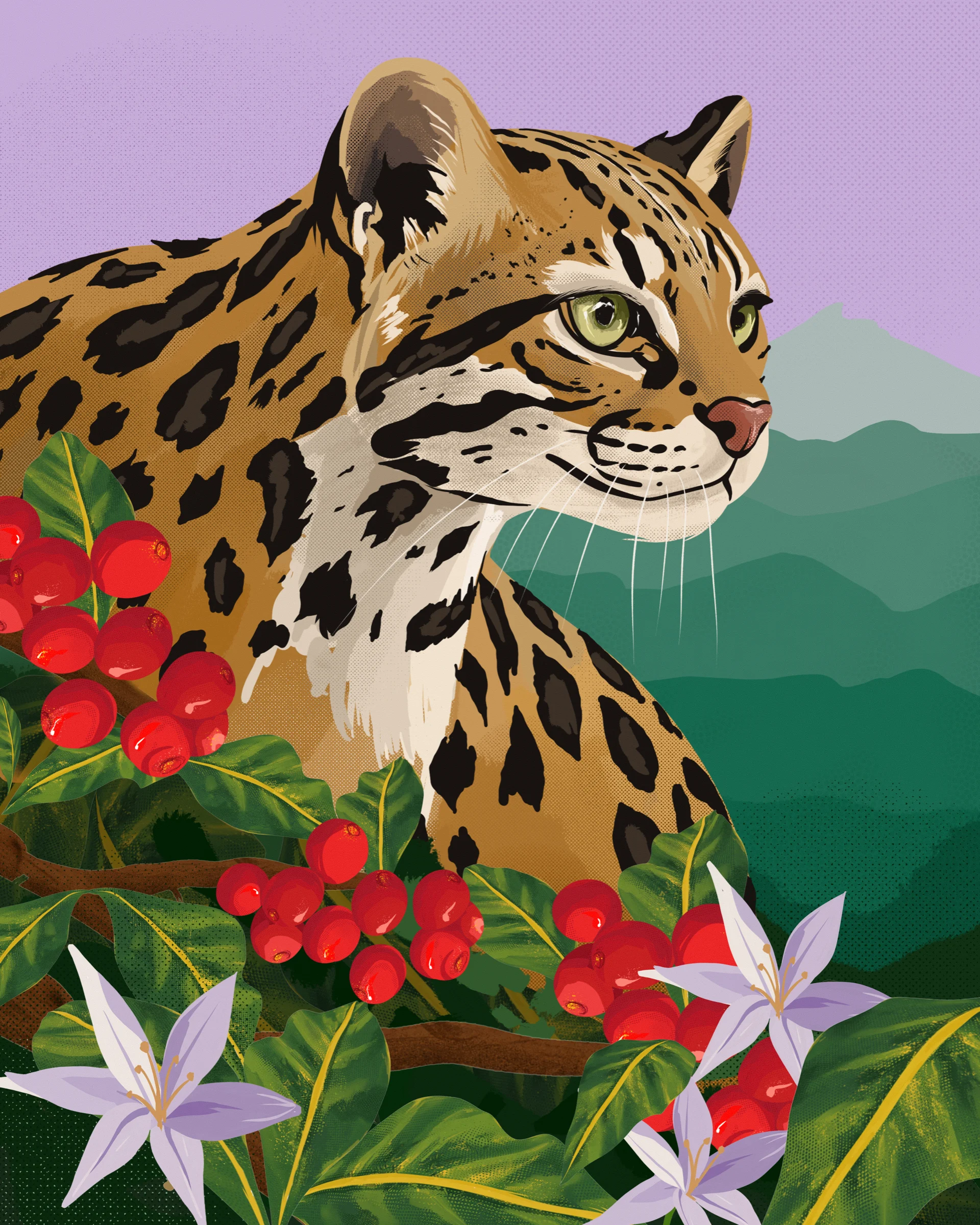 Belo Specialty Coffee illustration of an ocelot among coffee cherries and flowers
